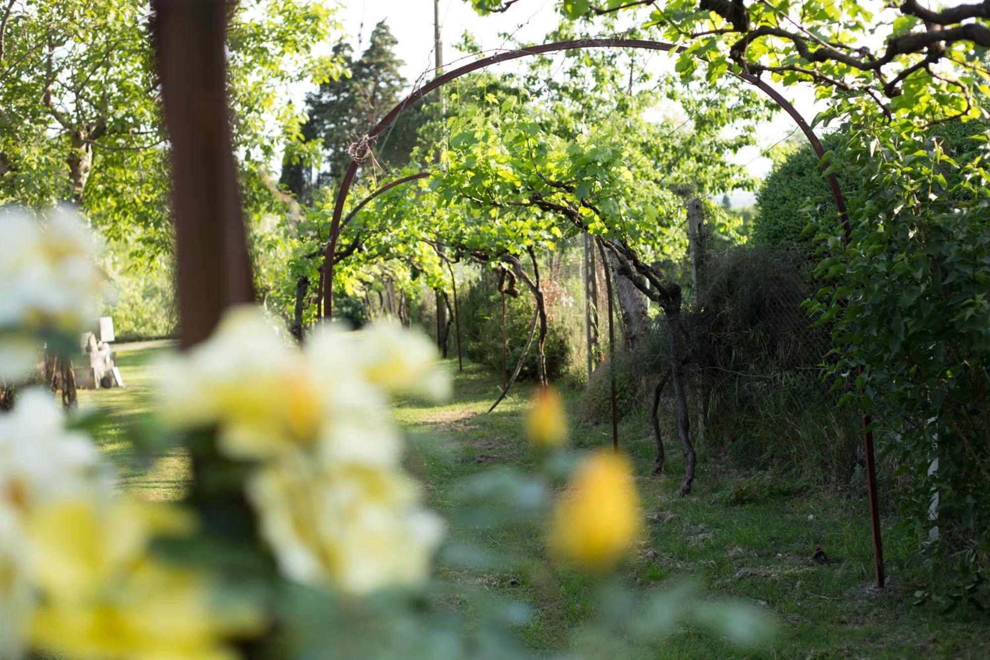 Villa Campo Di Fiore Arezzo Extérieur photo