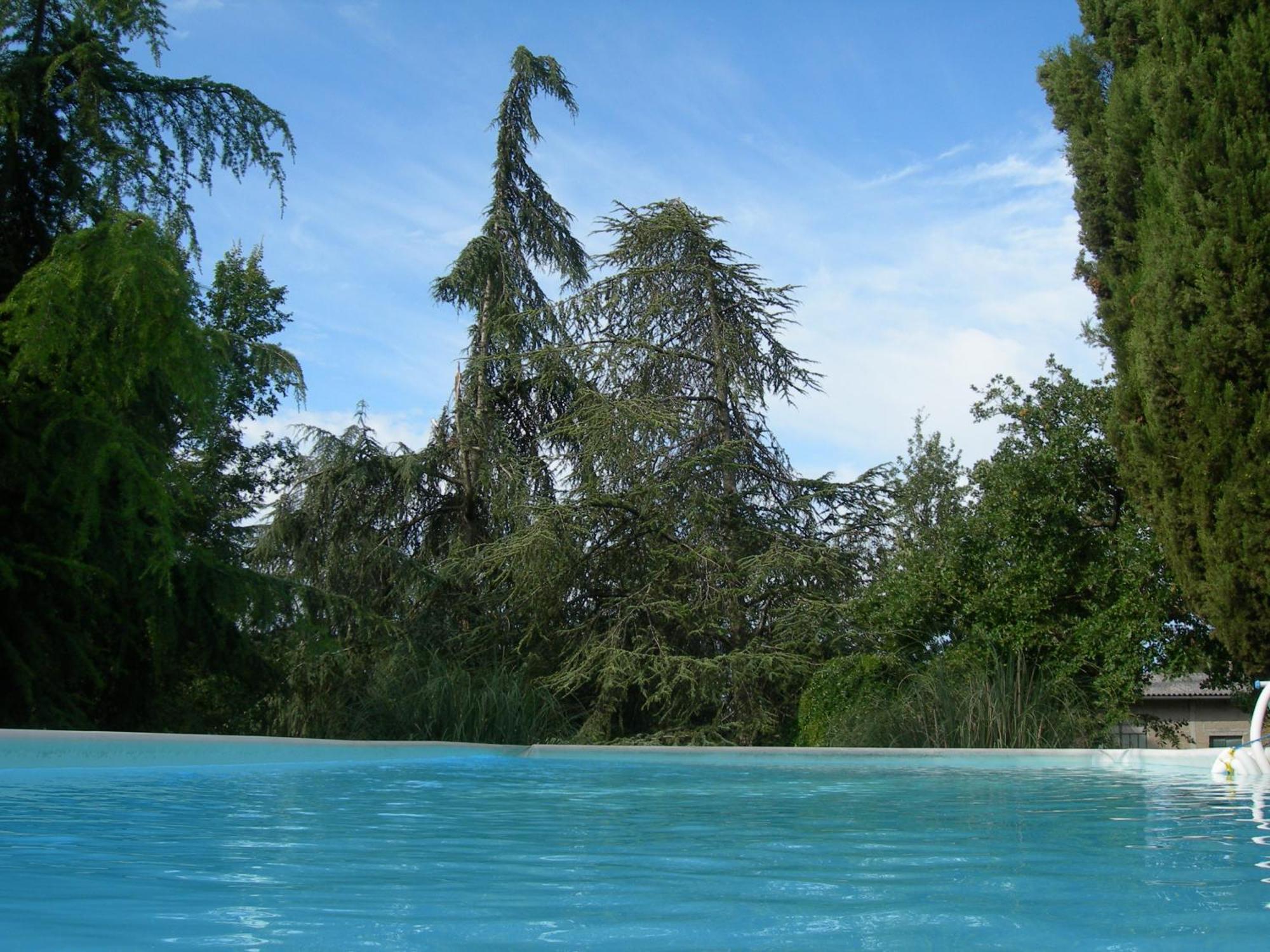 Villa Campo Di Fiore Arezzo Extérieur photo